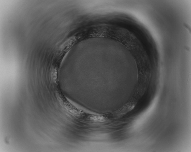 X0000102250767200808081411