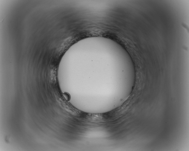 X0000102250768200808081411