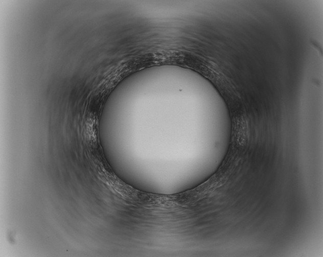 X0000102250770200808081410