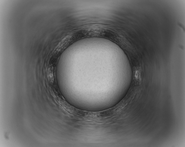 X0000102250771200808081410