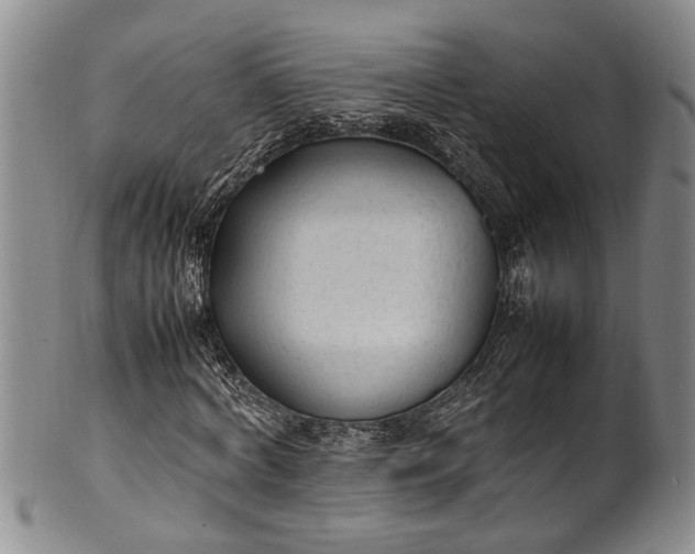 X0000102250772200808081410