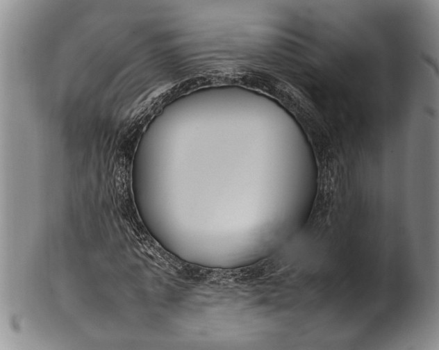 X0000102250773200808081410