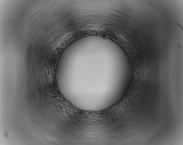 X0000102250774200808081410