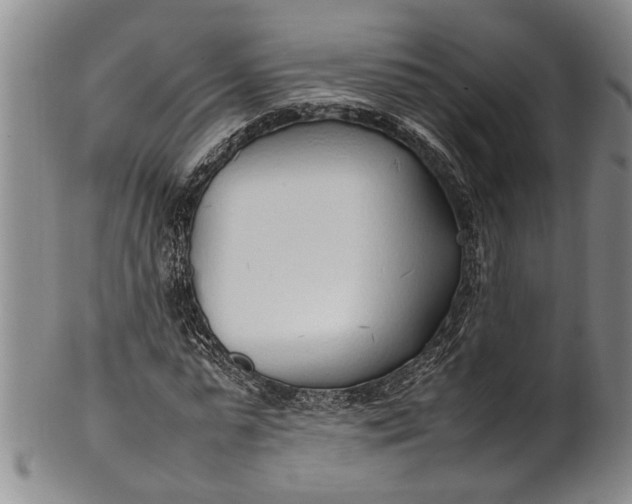 X0000102250775200808081410