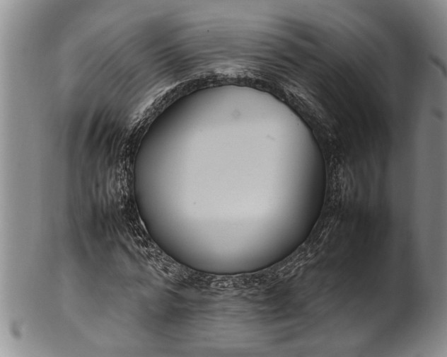 X0000102250776200808081410