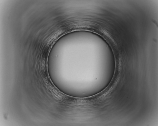 X0000102250777200808081410