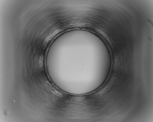 X0000102250778200808081410