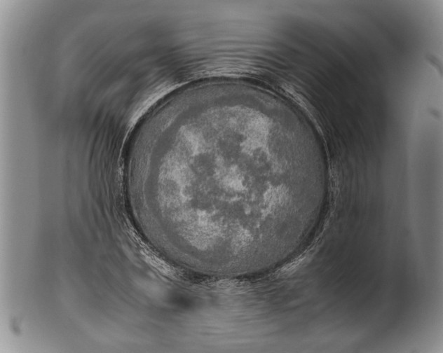 X0000102250779200808081410