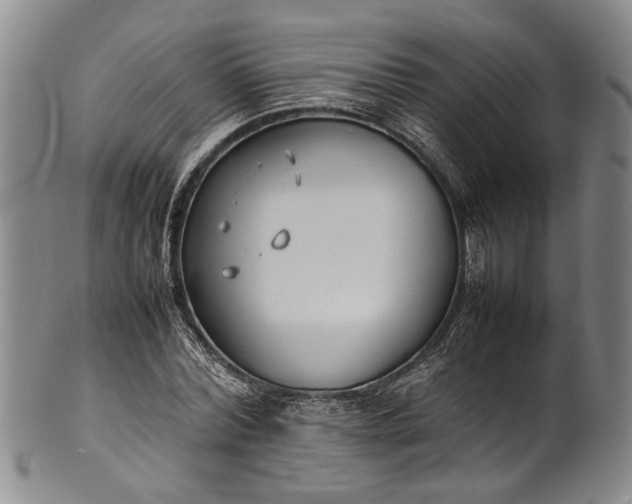 X0000102250780200808081410