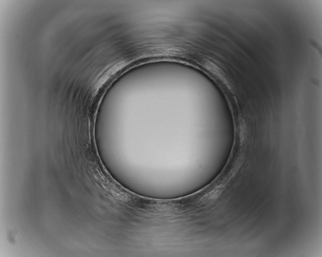 X0000102250781200808081410