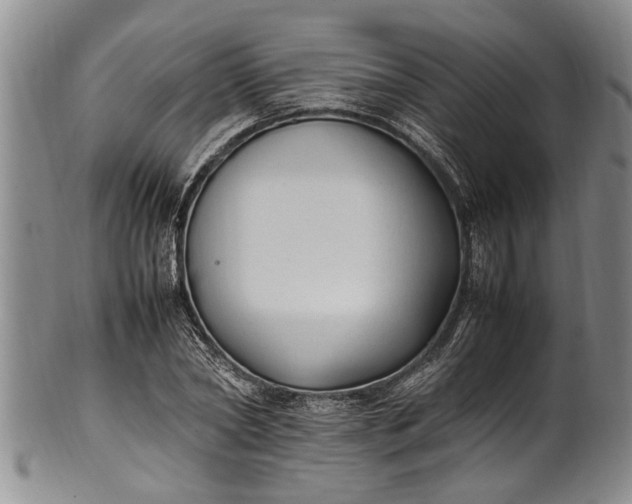 X0000102250782200808081410