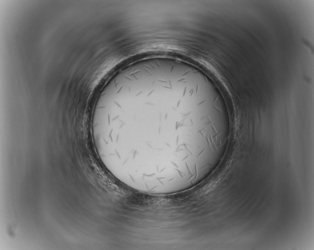 X0000102250783200808081410