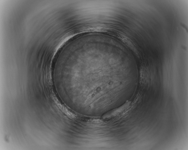 X0000102250784200808081410