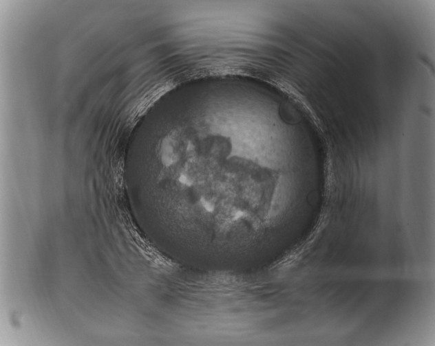 X0000102250785200808081410