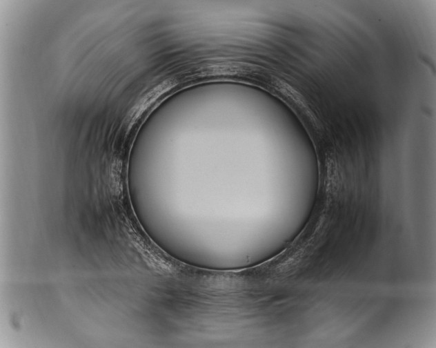 X0000102250786200808081410