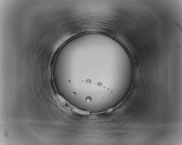 X0000102250787200808081410