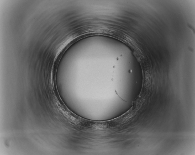 X0000102250788200808081410