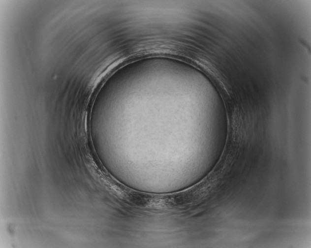 X0000102250790200808081410