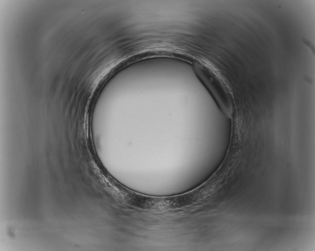 X0000102250791200808081410