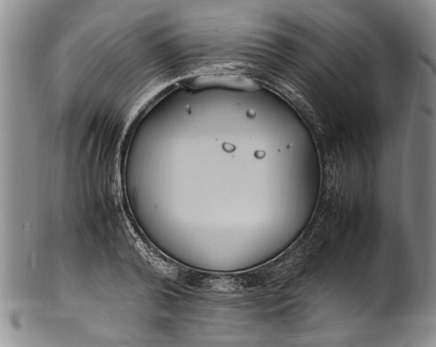 X0000102250792200808081410