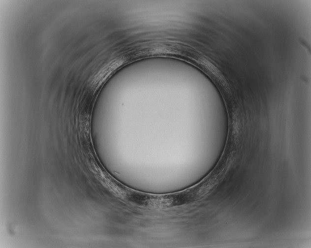 X0000102250793200808081410