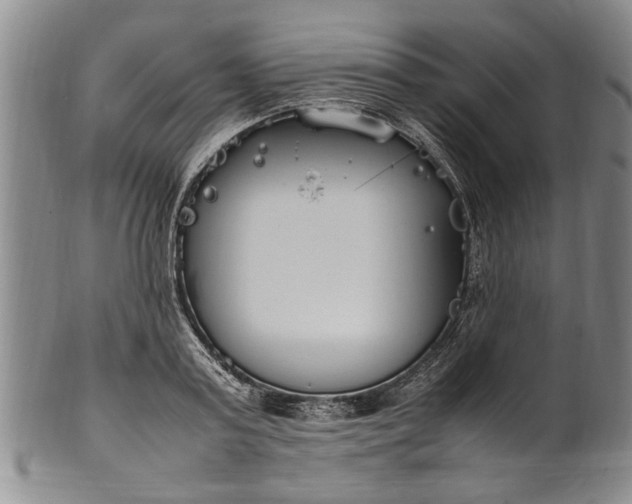 X0000102250795200808081409