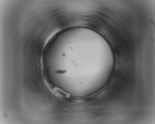 X0000102250796200808081409