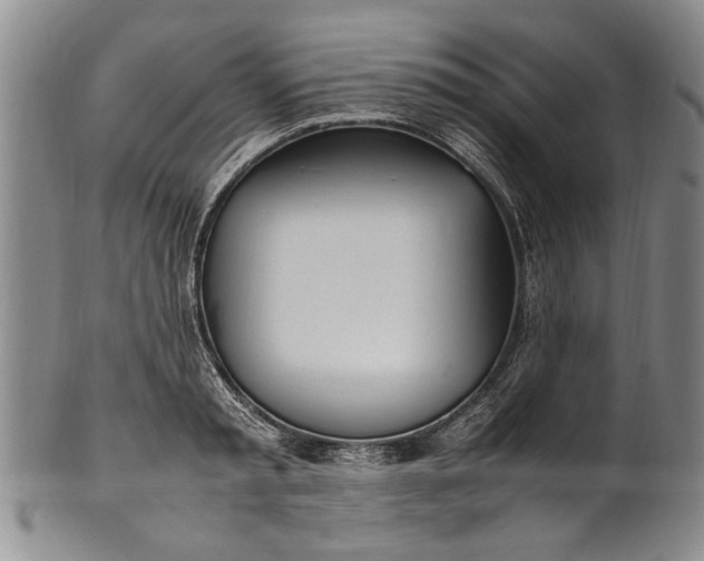 X0000102250797200808081409