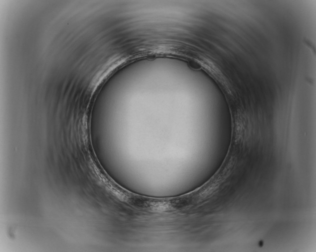 X0000102250798200808081409