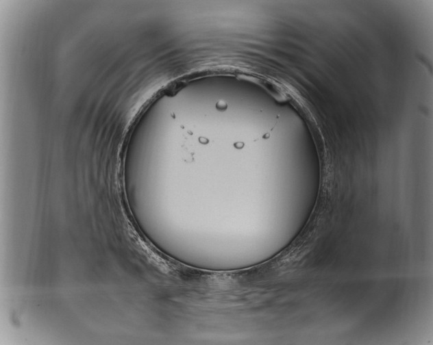 X0000102250799200808081409