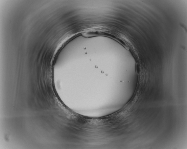 X0000102250800200808081409