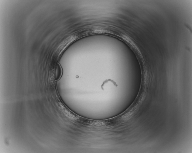 X0000102250801200808081409