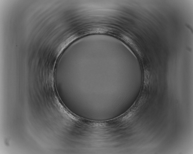 X0000102250802200808081409