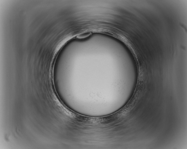 X0000102250803200808081409