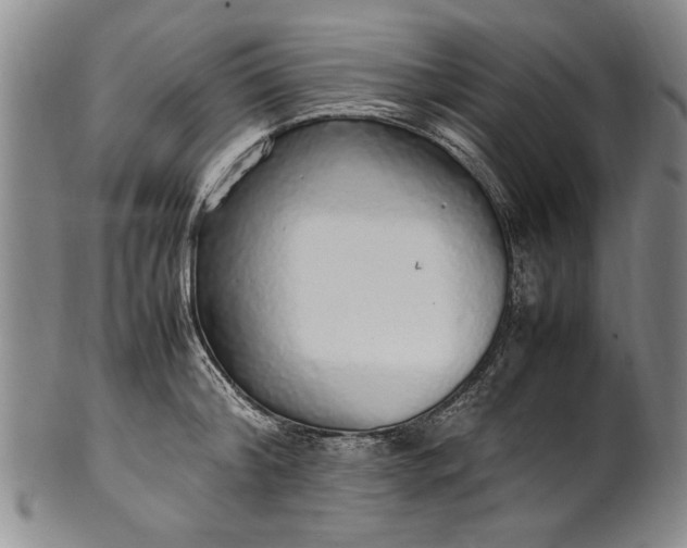 X0000102250804200808081409