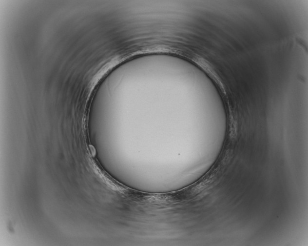 X0000102250805200808081409