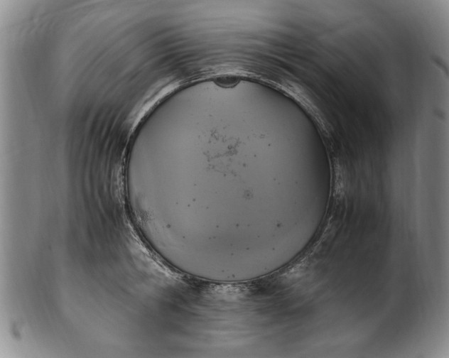 X0000102250806200808081409