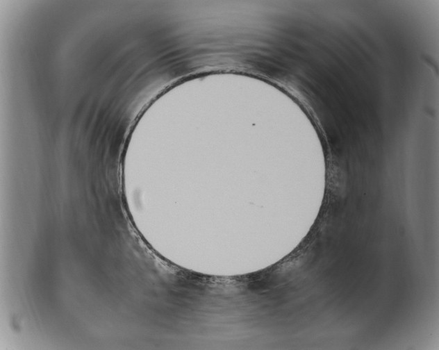 X0000102250807200808081409