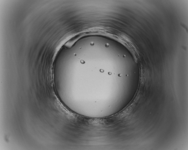 X0000102250808200808081409