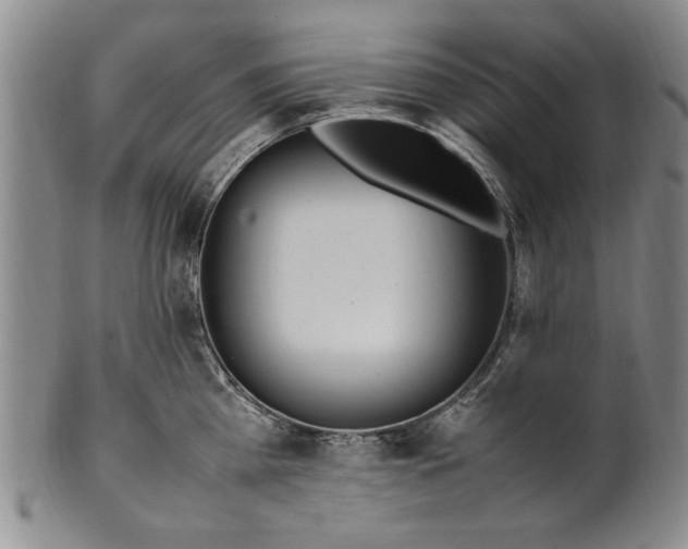 X0000102250809200808081409