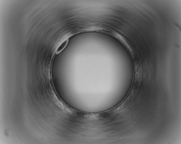 X0000102250810200808081409