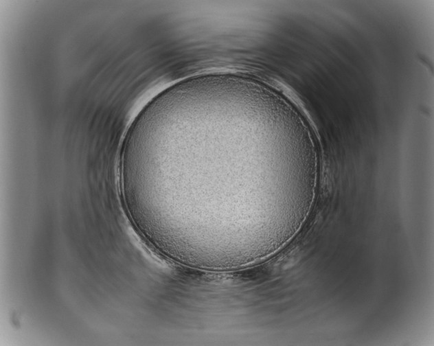 X0000102250811200808081409