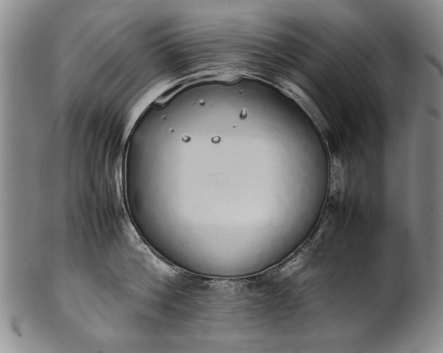 X0000102250812200808081409