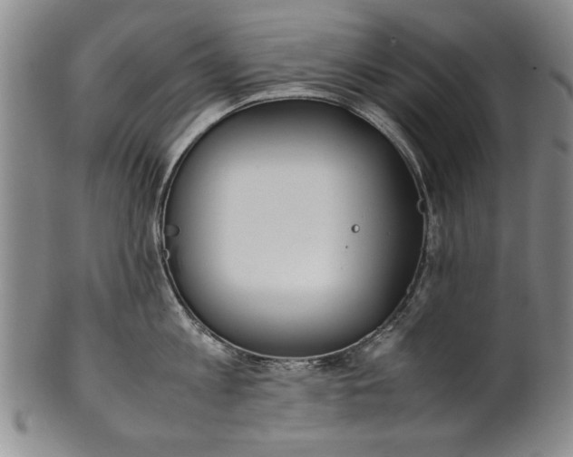 X0000102250813200808081409