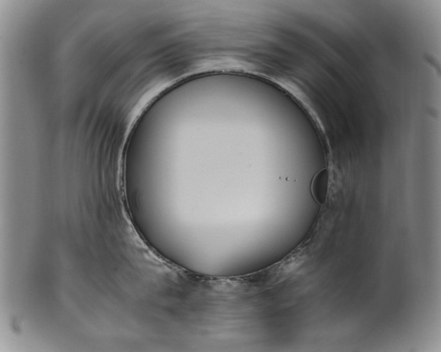 X0000102250815200808081409