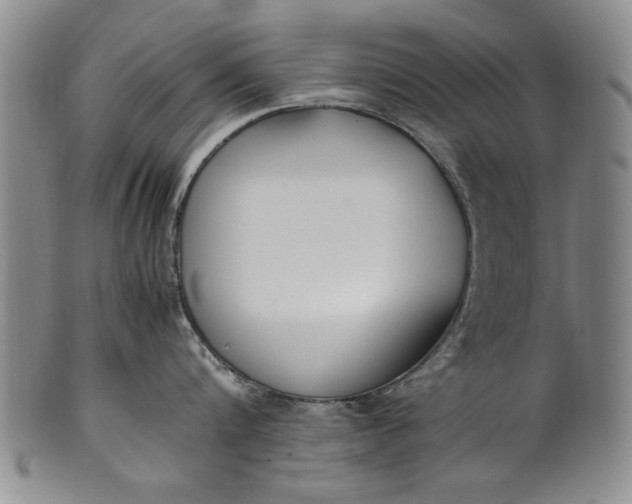 X0000102250816200808081409