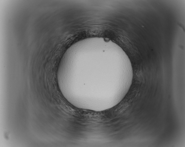 X0000102250817200808081408