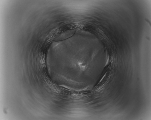 X0000102250818200808081409