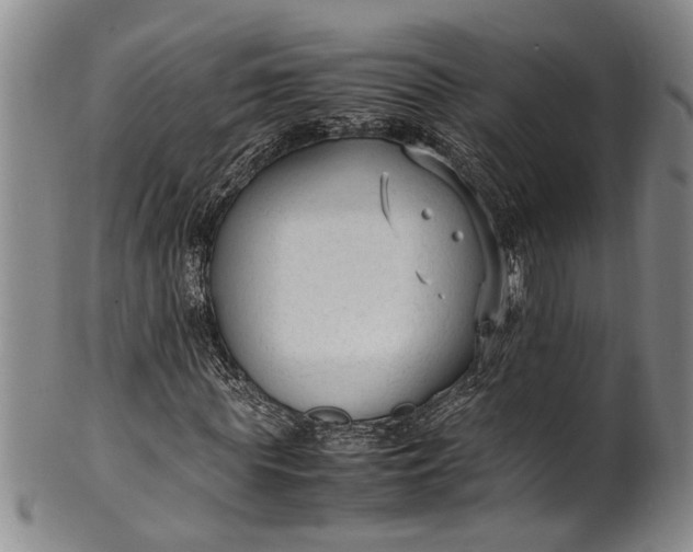 X0000102250819200808081409