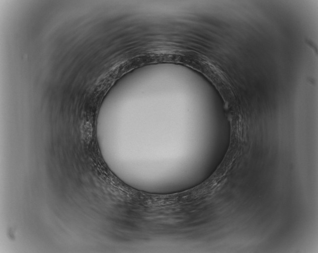 X0000102250821200808081409